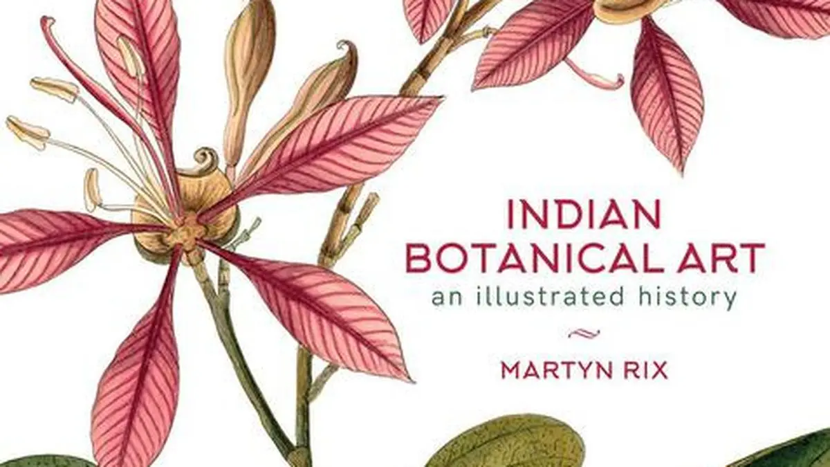 Book Review Martyn Rix's 'Indian Botanical Art' is a comprehensive