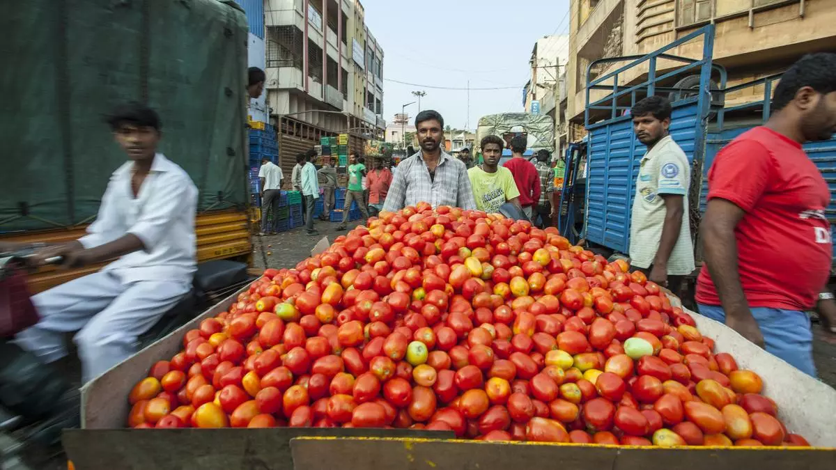 Why the Humble Tomato Can Be the Next Superfood Because of its Cancer-Fighting Magic Molecule