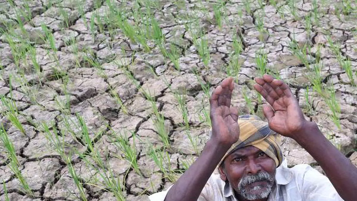 Crumbs for farmers