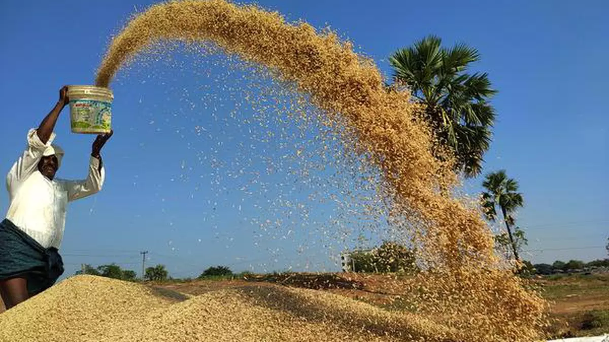 High costs hurt farmers in lockdown year