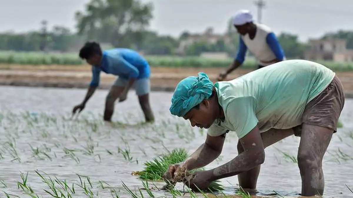 Migrants back in farms, factories