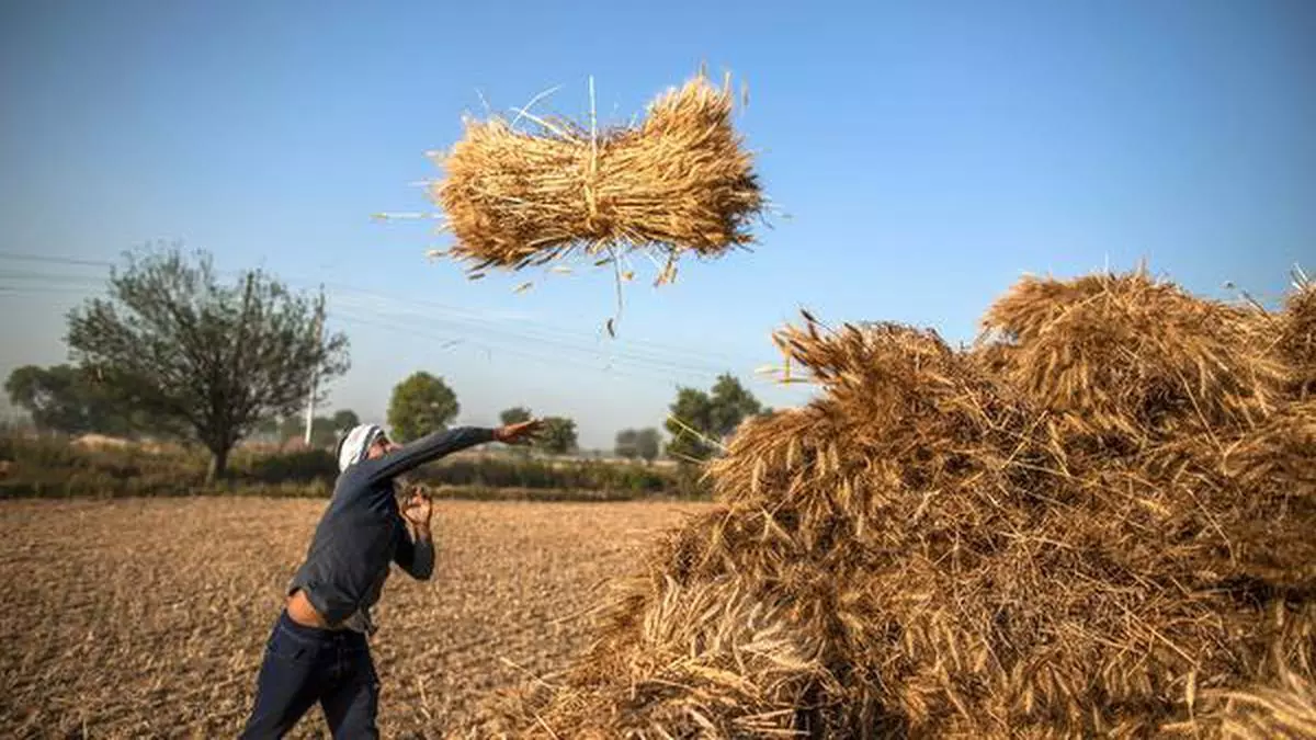 Farmers in Uttar Pradesh protest against farm laws amid grave agrarian crisis