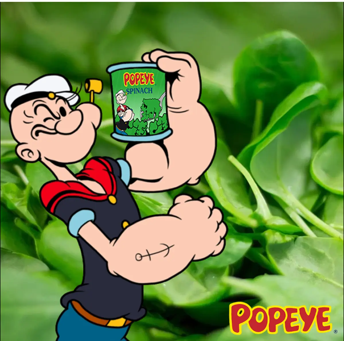 Commercial wellness platforms position optimisation as an ongoing process rather than a finite goal.