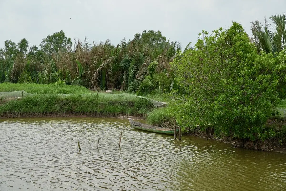 A shrimp pond is left empty in Ben Tre at the onset of the rainy season.