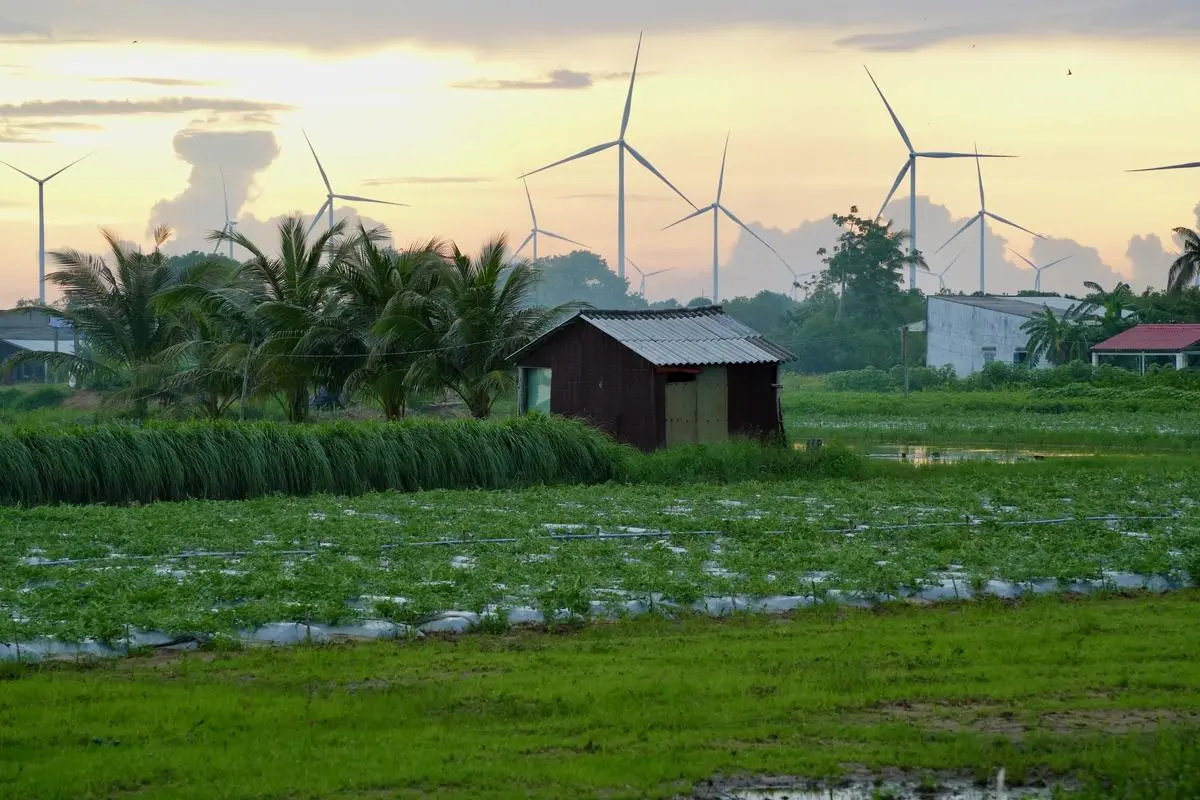 An agricultural landscape backdropped by markers of industrialisation in the Mekong delta.