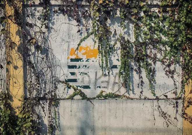 The flag of Azad Jammu and Kashmir on a wall in Lalchowk in May 2022. The flag of Azad Jammu and Kashmir on a wall in Lalchowk in May 2022.