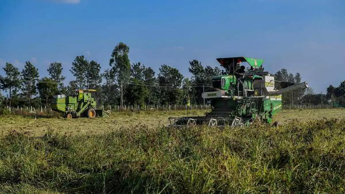 Can millets help create global food security?