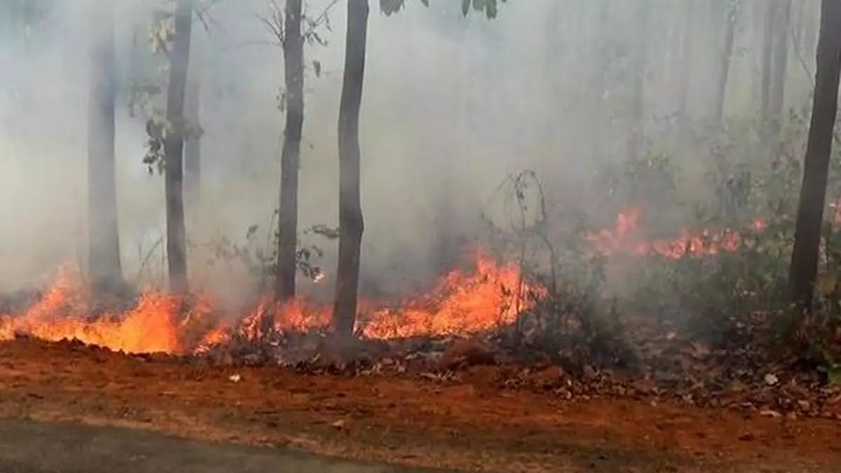 Odisha government constitutes a task force to deal with the raging forest fires in the State, especially in the Similipal biosphere