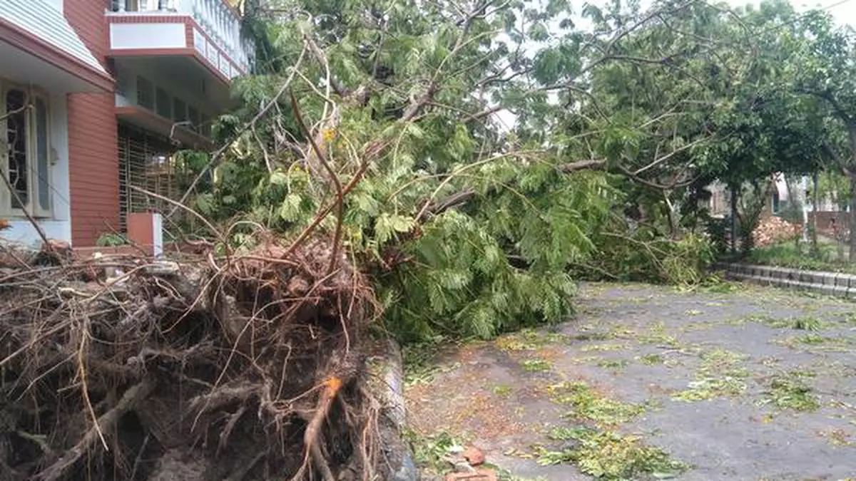 Amphan is the biggest natural calamity to ever hit West Bengal