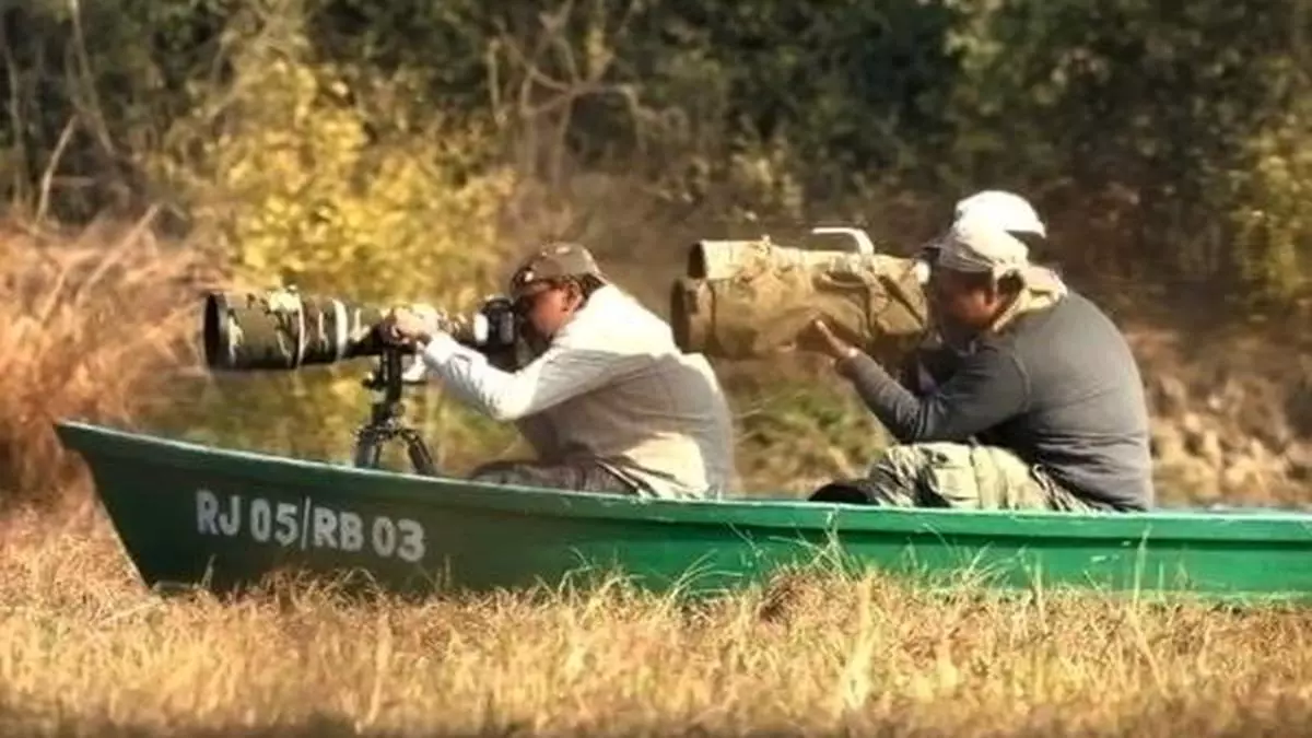 India's declining birdlife