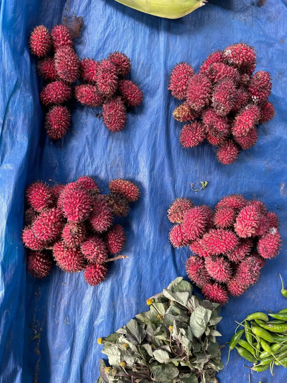 Wild lychee in Pasighat market. Wild lychee in Pasighat market.