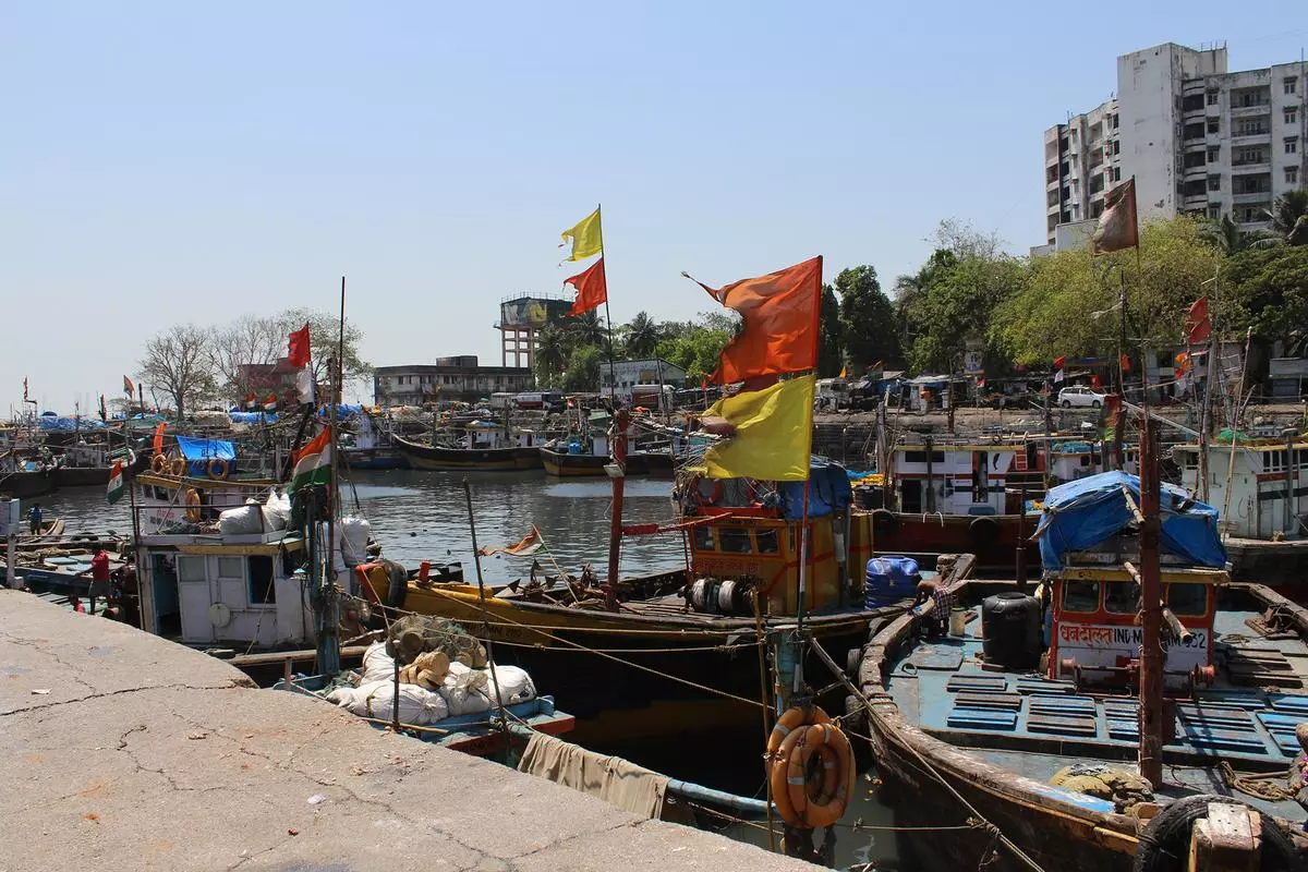 Sassoon Docks in south Mumbai. A large wholesale fish market has developed around the fishing dock, which was inaugurated in 1875.