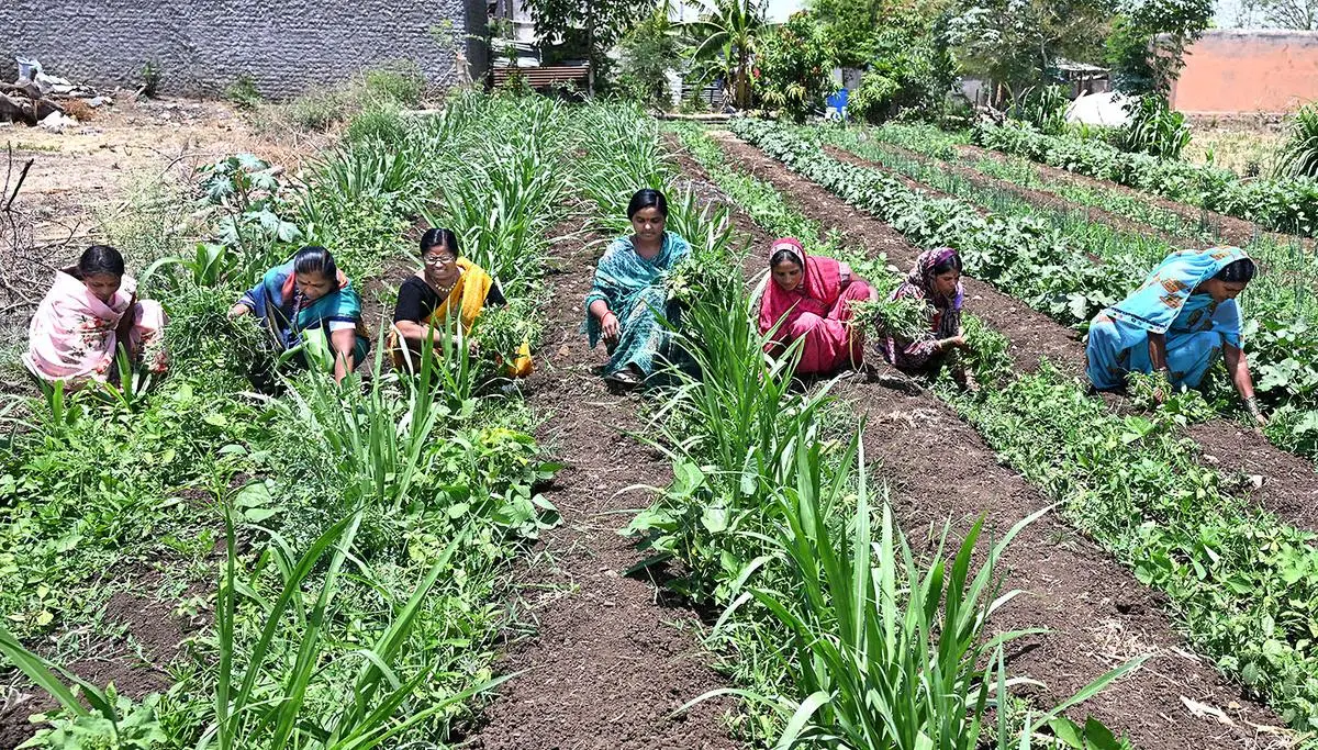 Despite over three decades of “liberalisation”, agriculture employs almost half of India’s workforce; financially and physically precarious jobs have been the main source of work outside agriculture. The bogey of “excessive state” has perpetuated the neglect of human capital and public health.