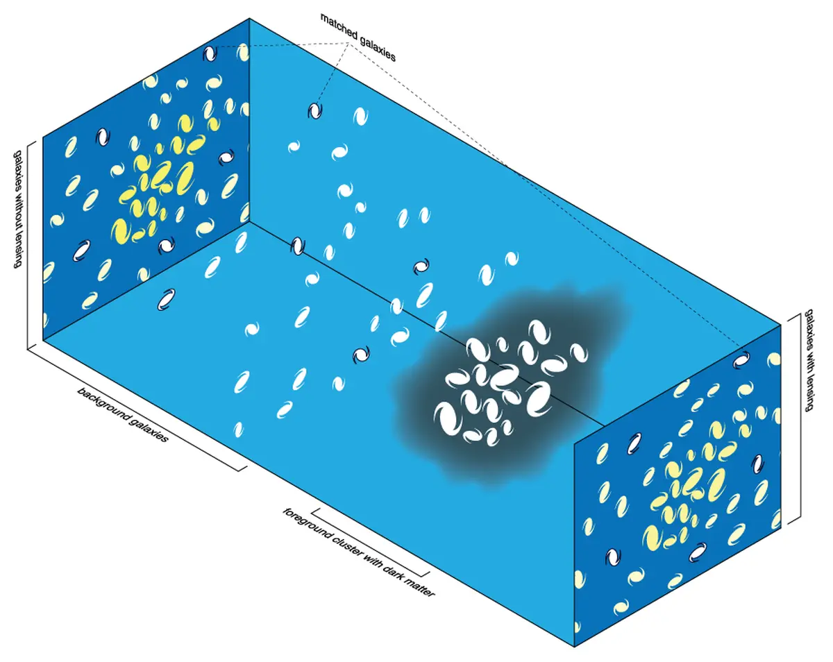 The effects of foreground galaxy cluster mass on background galaxy shapes. The upper left panel shows (projected onto the plane of the sky) the shapes of cluster members (in yellow) and background galaxies (in white), ignoring the effects of weak lensing. The lower right panel shows this same scenario but includes the effects of lensing. The middle panel shows a 3D representation of the positions of cluster and source galaxies, relative to the observer. Note that the background galaxies appear stretched tangentially around the cluster. The effects of foreground galaxy cluster mass on background galaxy shapes. The upper left panel shows (projected onto the plane of the sky) the shapes of cluster members (in yellow) and background galaxies (in white), ignoring the effects of weak lensing. The lower right panel shows this same scenario but includes the effects of lensing. The middle panel shows a 3D representation of the positions of cluster and source galaxies, relative to the observer. Note that the background galaxies appear stretched tangentially around the cluster.
