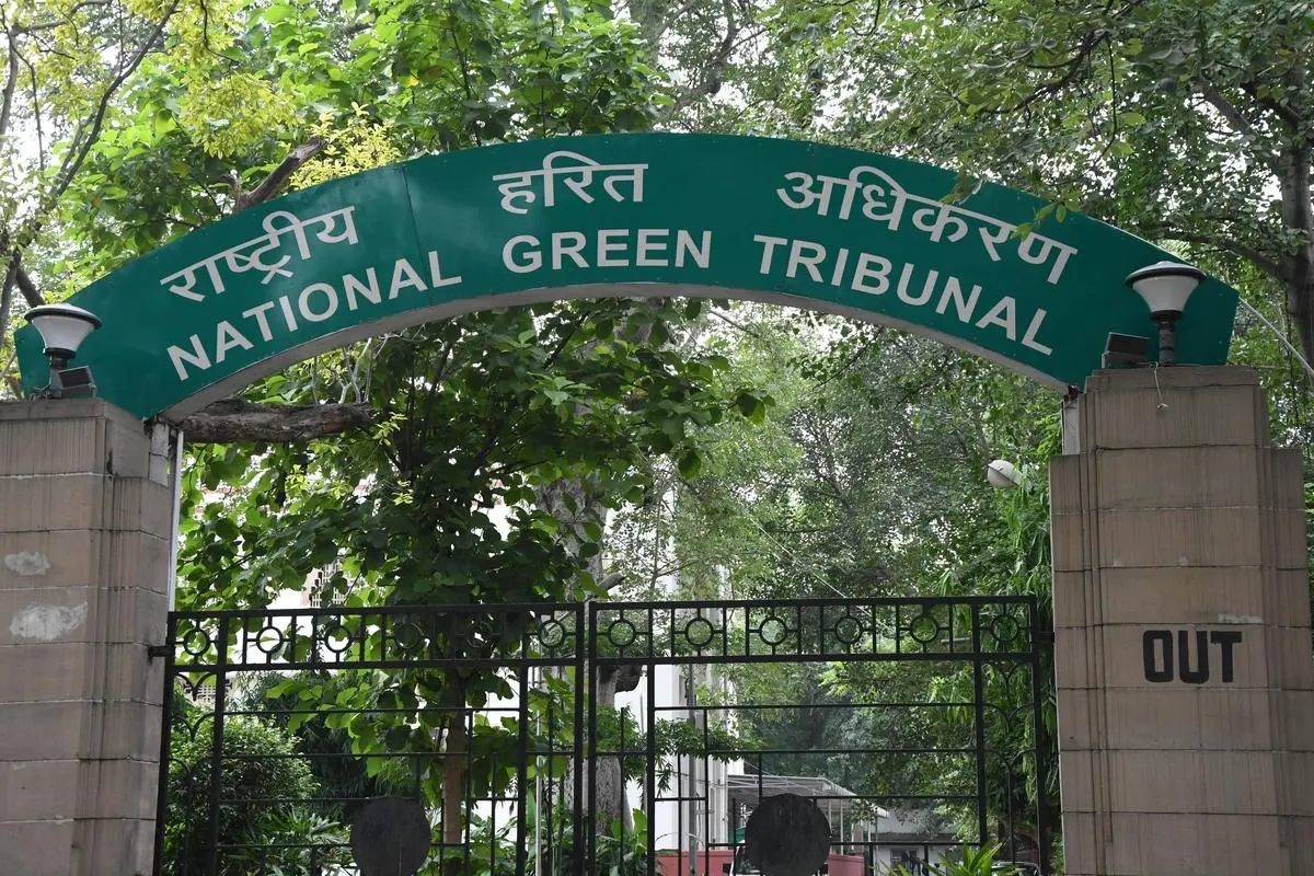 The National Green Tribunal office at Faridkot House, in New Delhi. Environmental groups and activists have raised concerns over delays in environmental adjudication and the increasing dismissal of appeals at the admission stage, even as courts continue to be a key forum for contesting development projects.