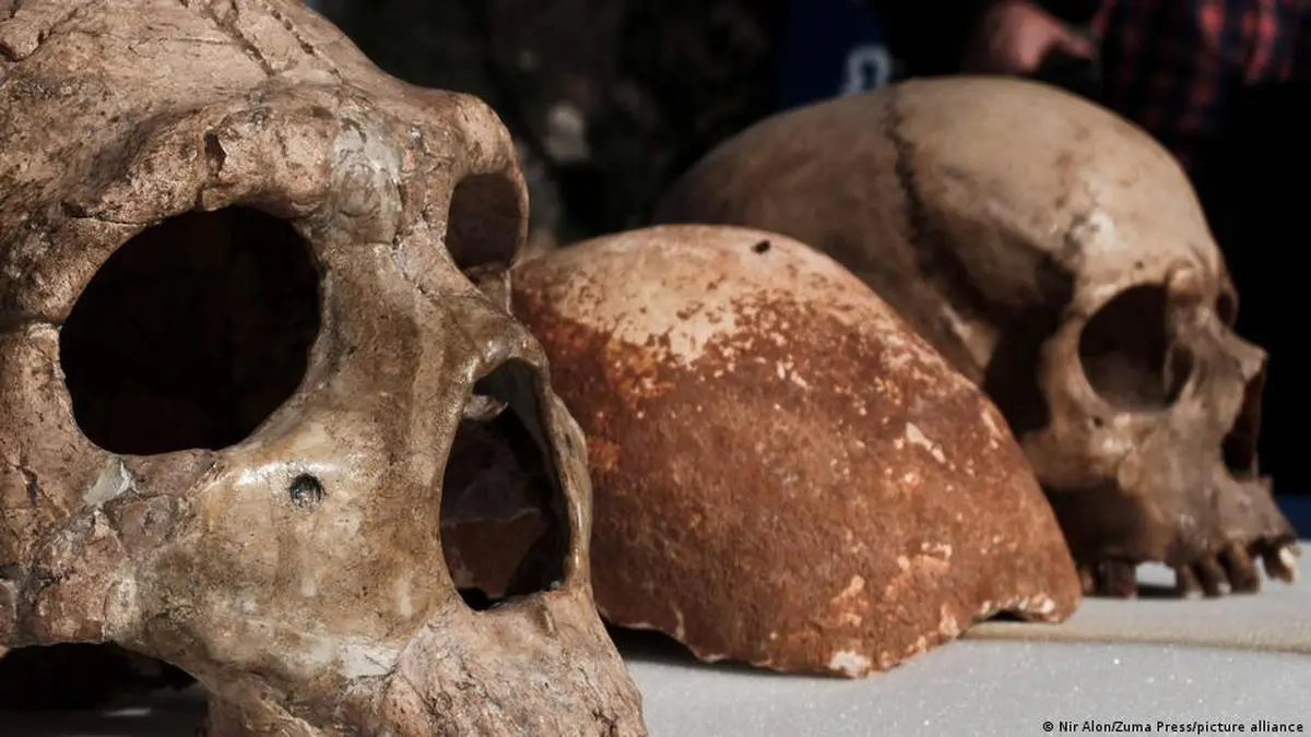 ARCHAEOLOGY | Why you owe your life to a handful of early humans