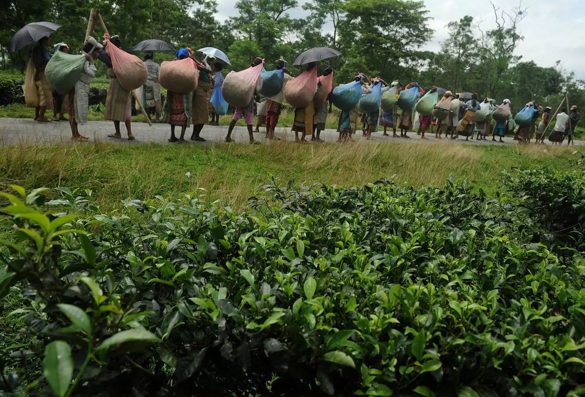 The Quiet Death Of Labour Rights In India - Frontline