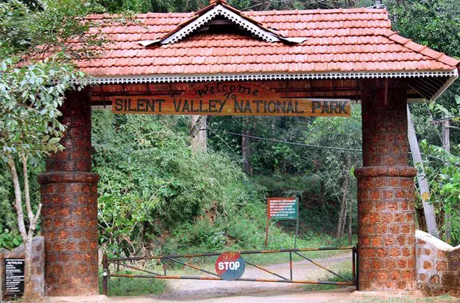The Silent Valley National Park in Palakkad.