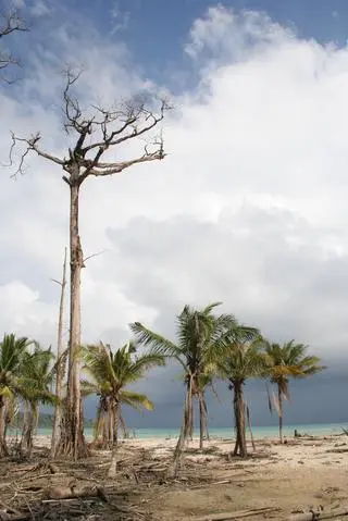 The damaged coastline of Great Nicobar Island at Joginder Nagar. Great Nicobar is not far from Banda Aceh in Indonesia, the epicentre of the 2004 tsunami.