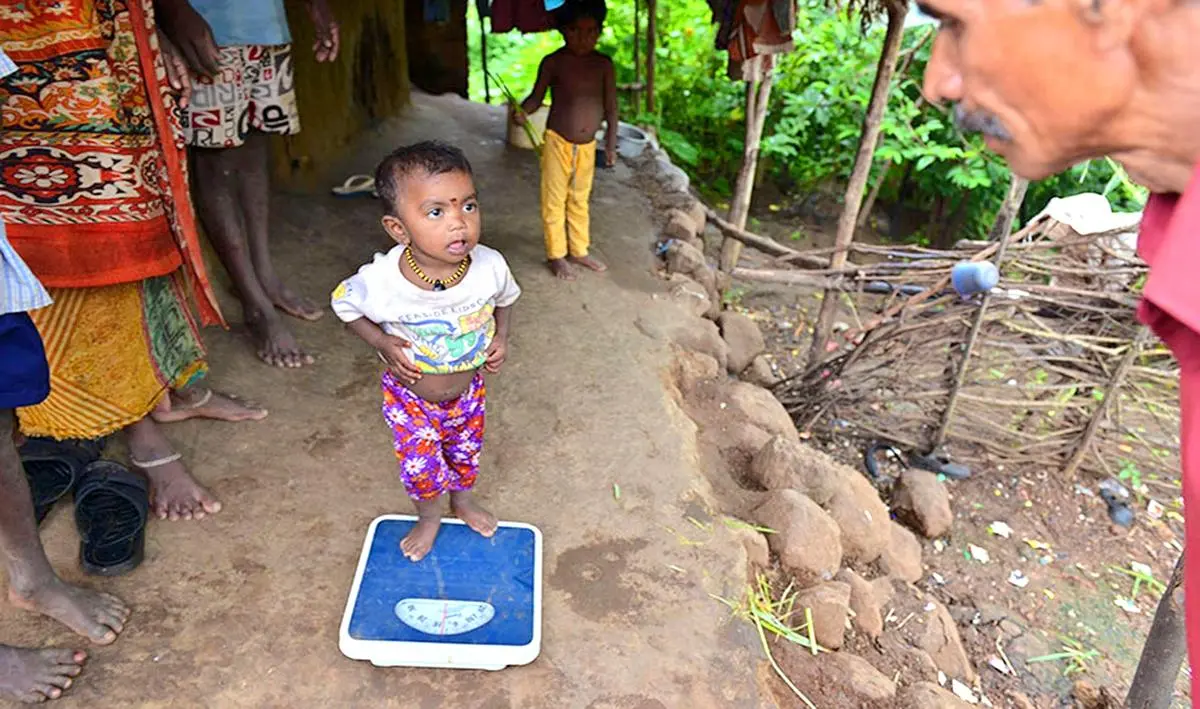Malnourished children being weighed at a remote village in Palghar district in 2016. Malnutrition continues to be a major problem in several districts of the State.