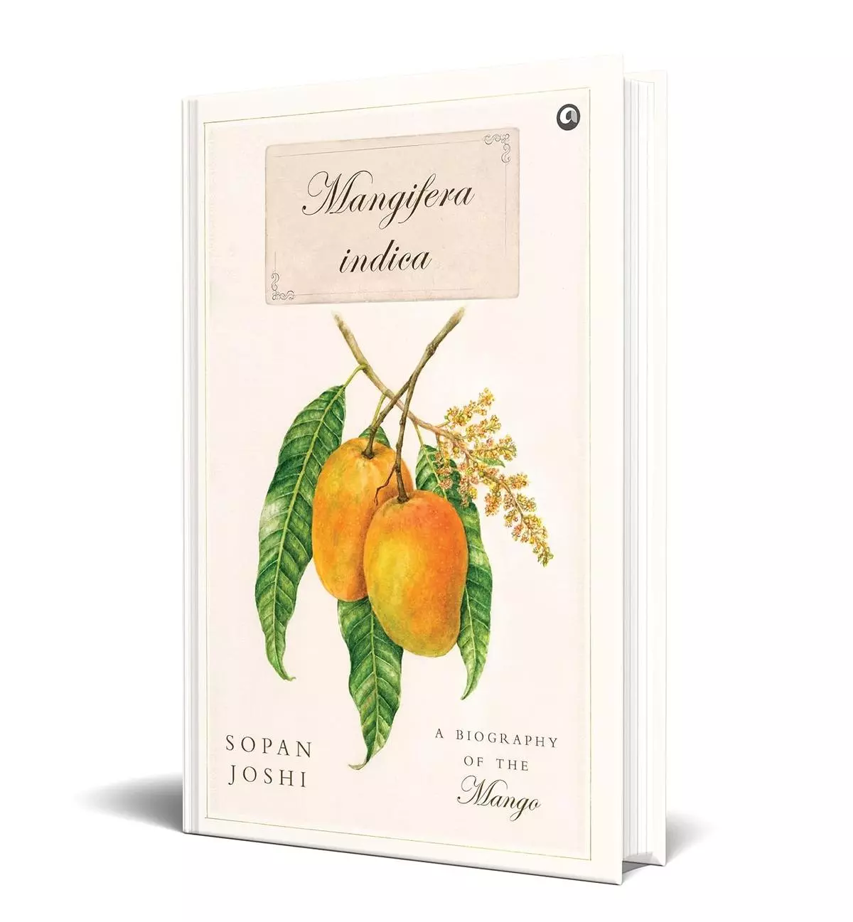 According to Sopan Joshi’s Mangifera Indica, India is home to as many as 1600 varieties of mangoes and this diversity is not just limited to the types of mangoes but also their flavours.