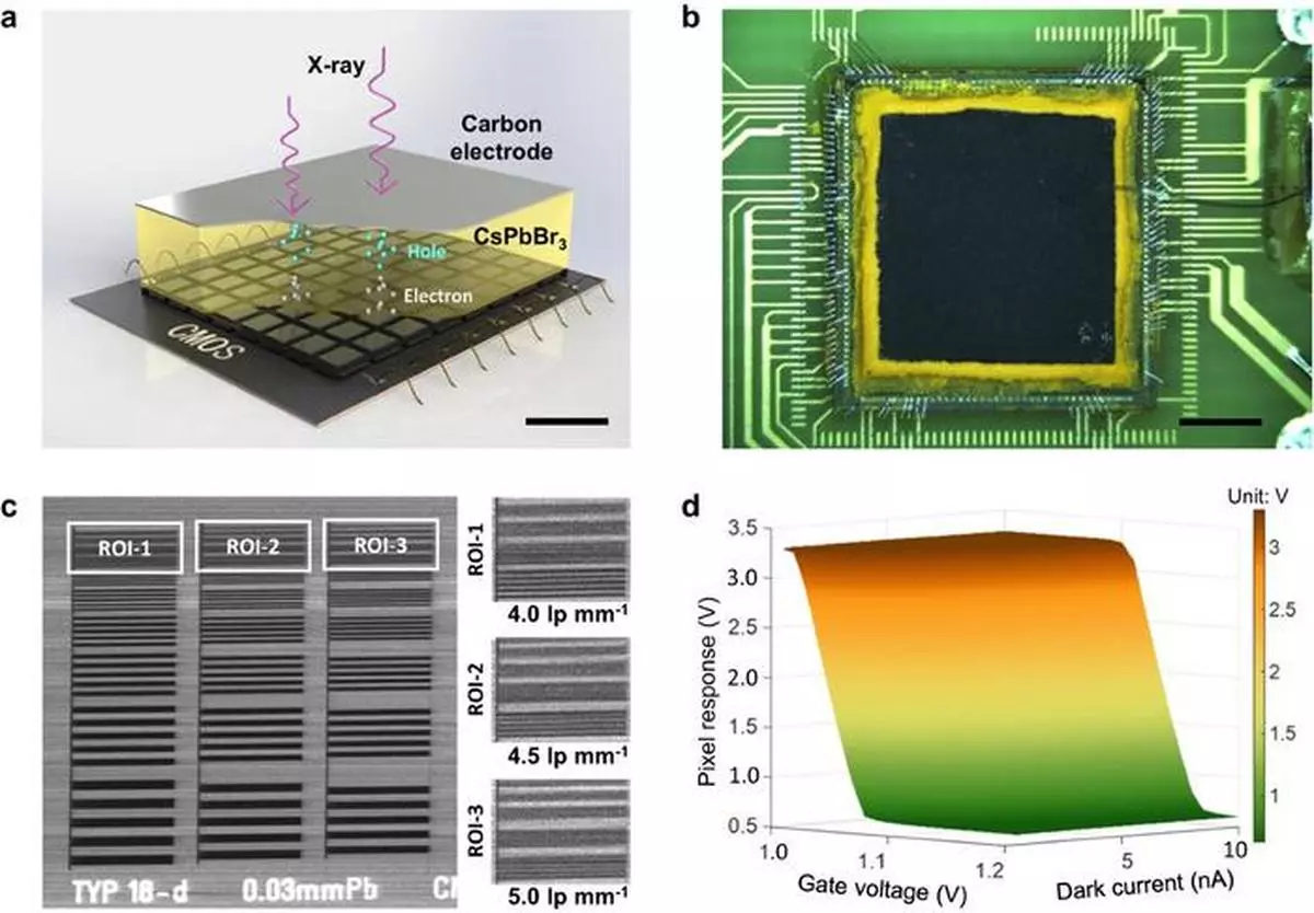 An inorganic caesium-lead-bromide based direct-conversion X-ray CMOS detector. 