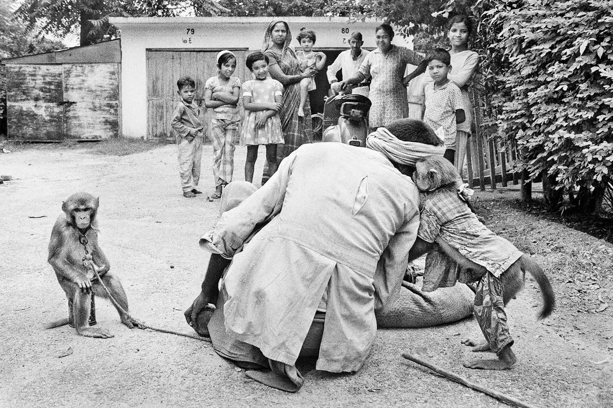 Raghu Rai’s photograph from the lanes of Chawri Bazar, Delhi.