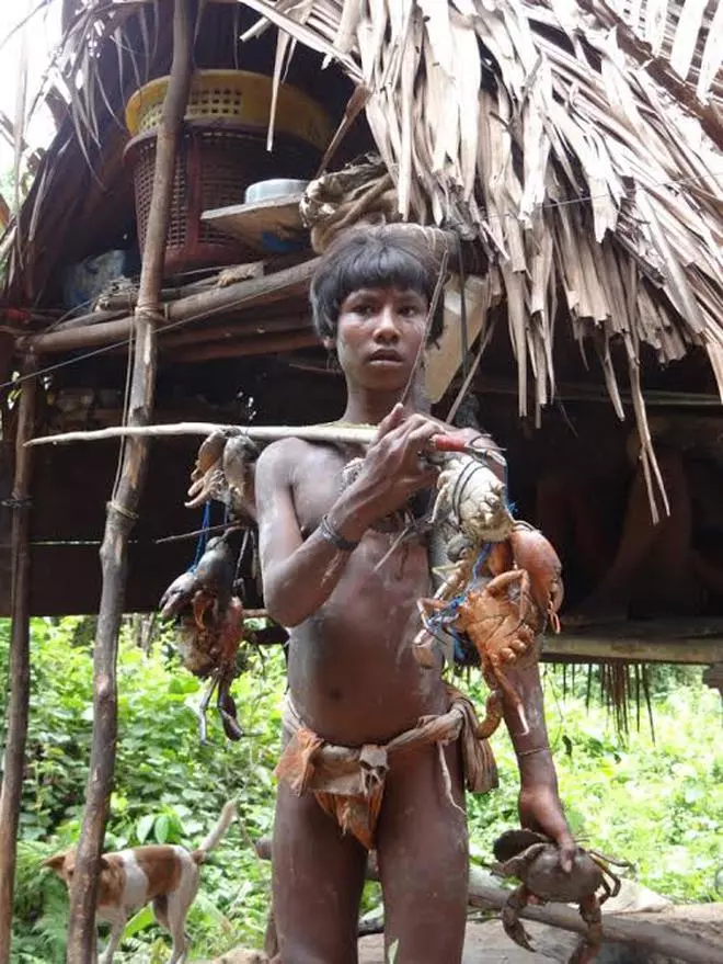 The Shompen are  a particularly vulnerable tribal group (PVTG) and belong to a hunter-gatherer nomadic community. A key concern is about the rights and livelihoods of the Shompen (numbering about 200) and the Nicobarese (about a 1,000) in Great Nicobar.