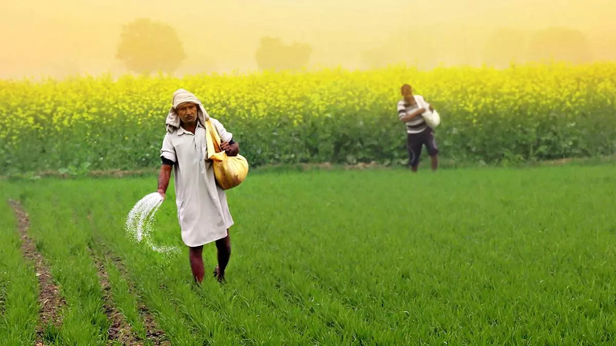 Haryana Farmers Face Fertilizer Shortage Crisis; Government Denies Problem, Imposes Stubble Burning Fines