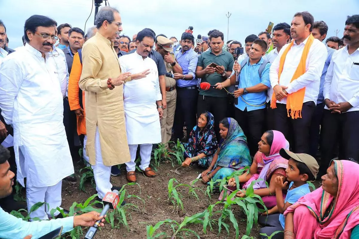 Shiv Sena (UBT) leader Uddhav Thackeray with farmers whose crops were damaged, at Nipani in Chhatrapati Sambhajinagar district on July 7. Rural distress was a factor in the election, with the NDA winning just 8 seats in 37 rural areas.