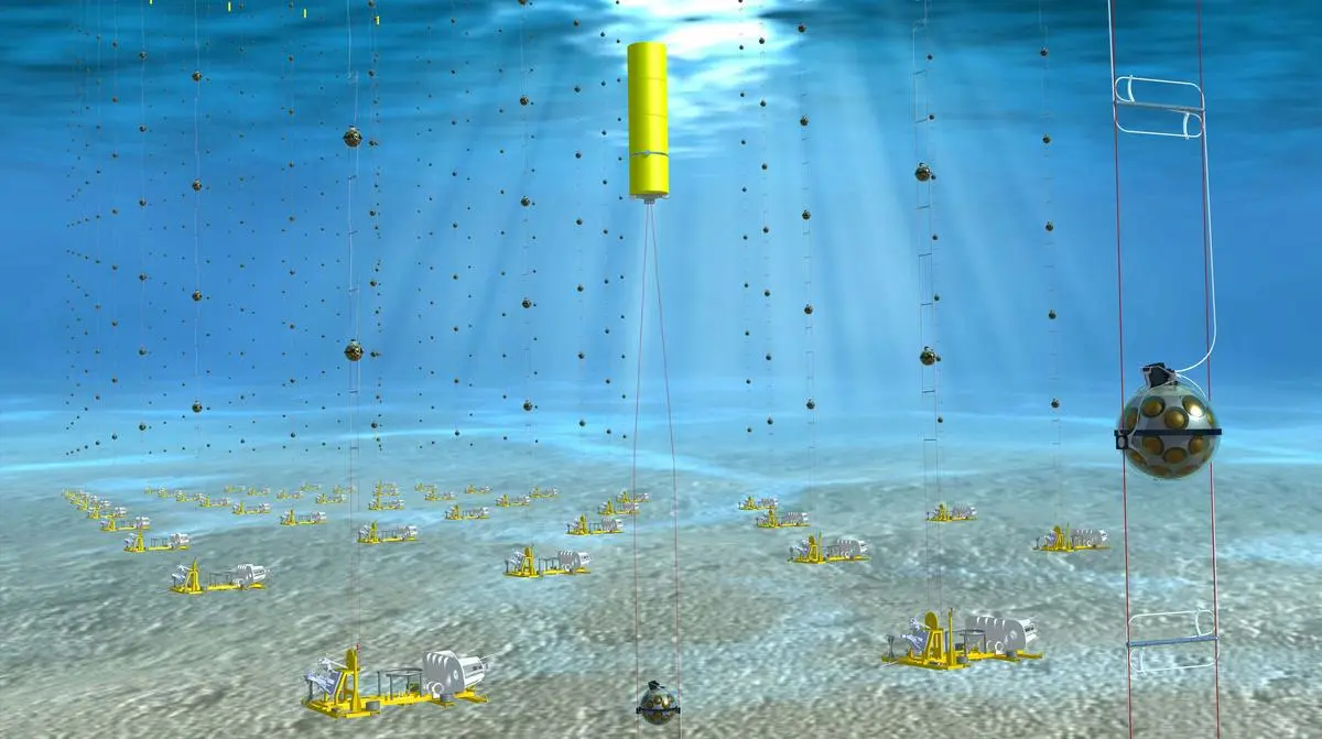An artist’s impression of KM3NeT showing its many strings anchored to the seabed of the Mediterranean. The small optical modules (the 43 cm diameter glass spheres with optical sensors and electronics inside) can be seen in comparison to the kilometre-sized telescope. The yellow object in the front is a buoy. 