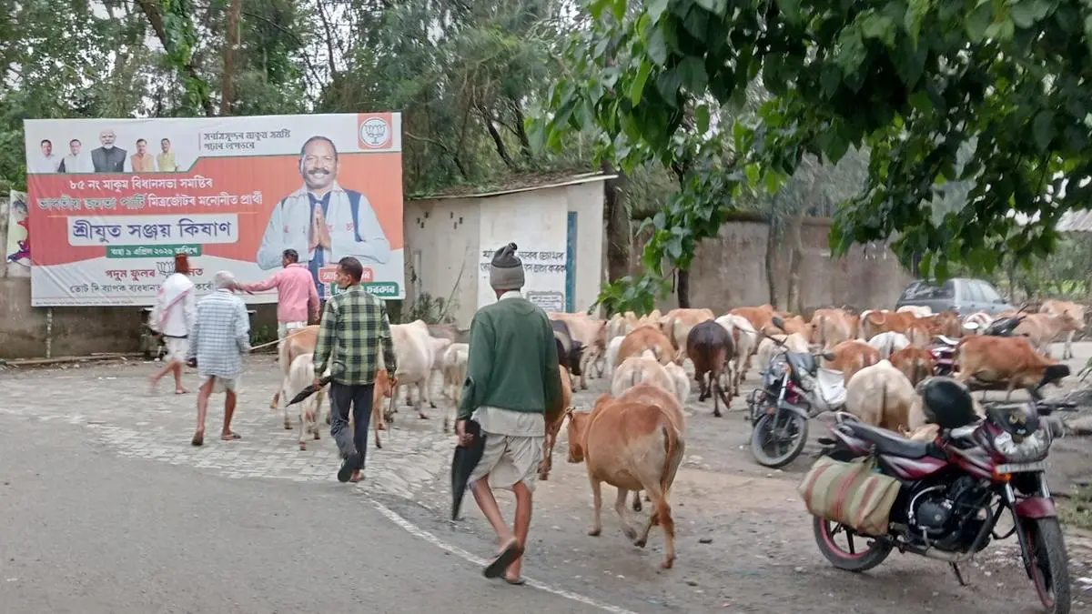 Assam Polls: Cash Transfers Mask Stagnant Incomes and Job Distress