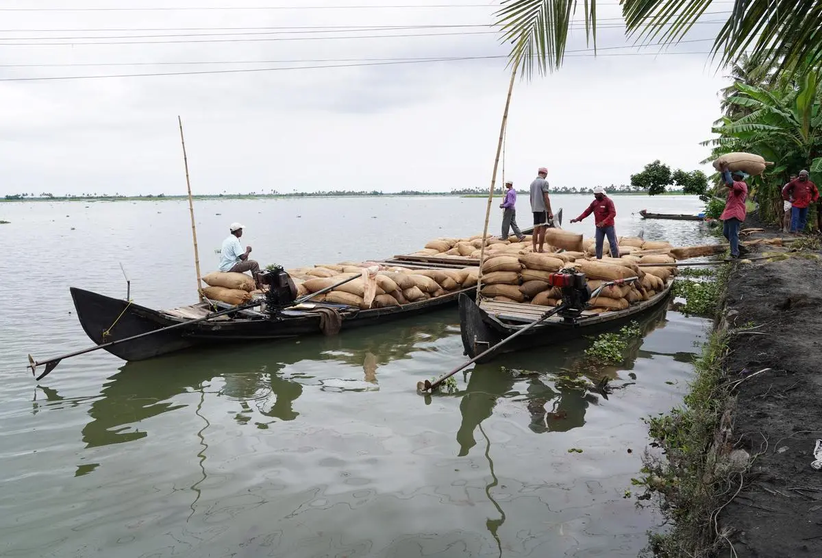 Kuttanad: The next vanishing wetland? - Frontline
