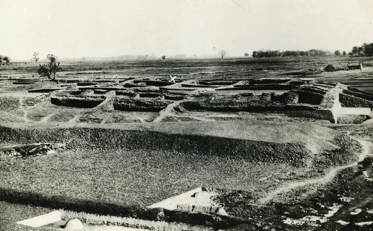 The site of the Piprahwa excavation. The site of the Piprahwa excavation.