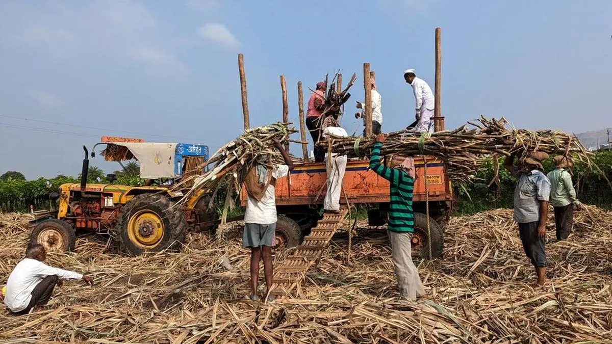 Maharashtra’s sugar mills are running out of time