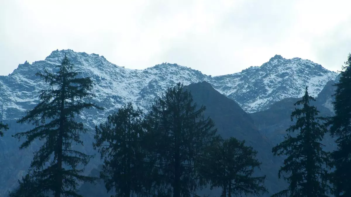 The hills of Himachal Pradesh are alive with enterprise