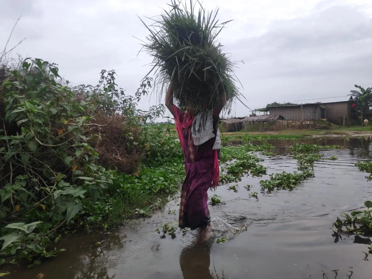 A ‘rehabilitated’ woman walks amid a flooded “road” in Arimari.