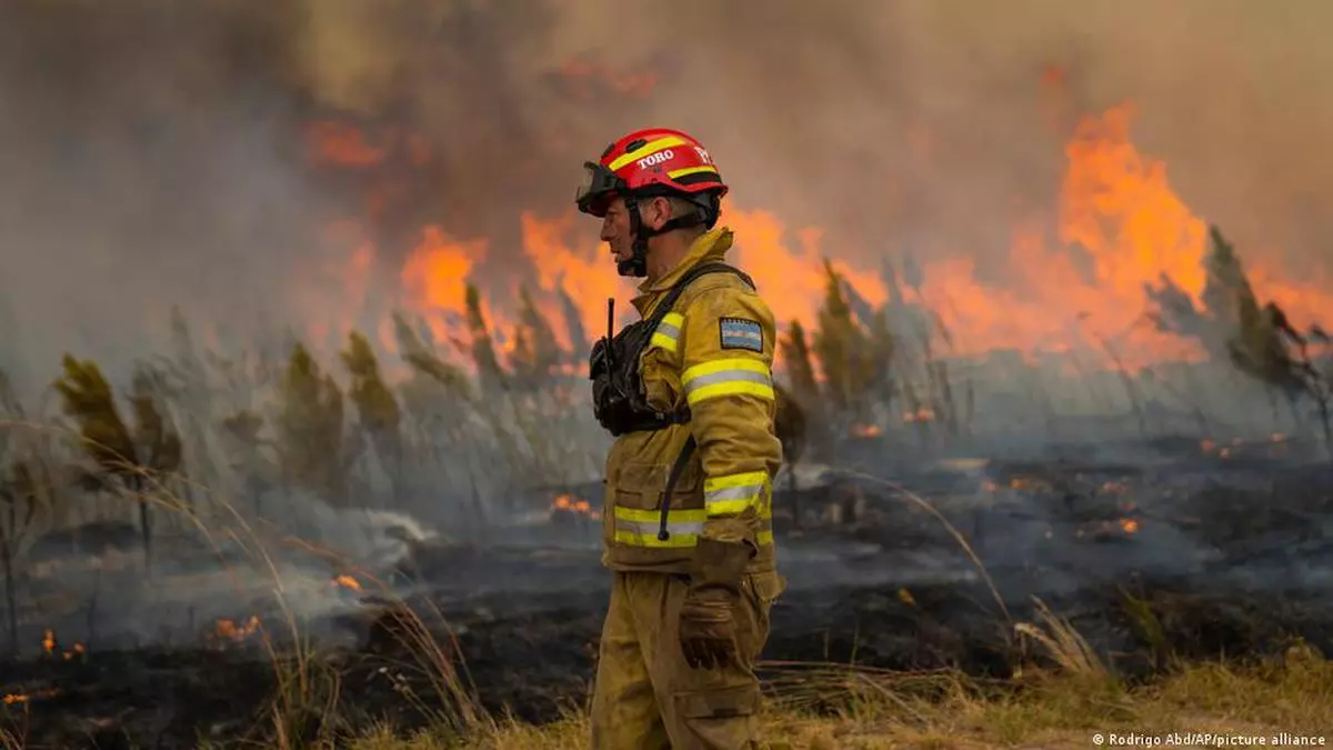 Wildfires to increase up to 30 per cent by 2050: experts