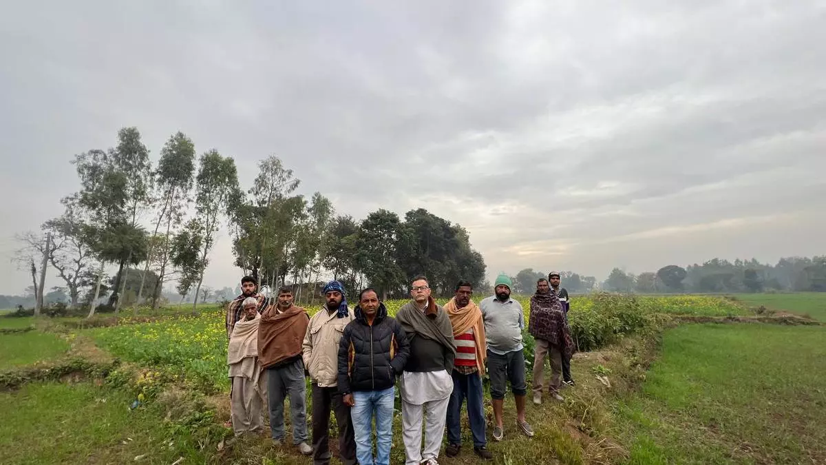 New laws in Jammu and Kashmir dispossess native farmers of land, property rights