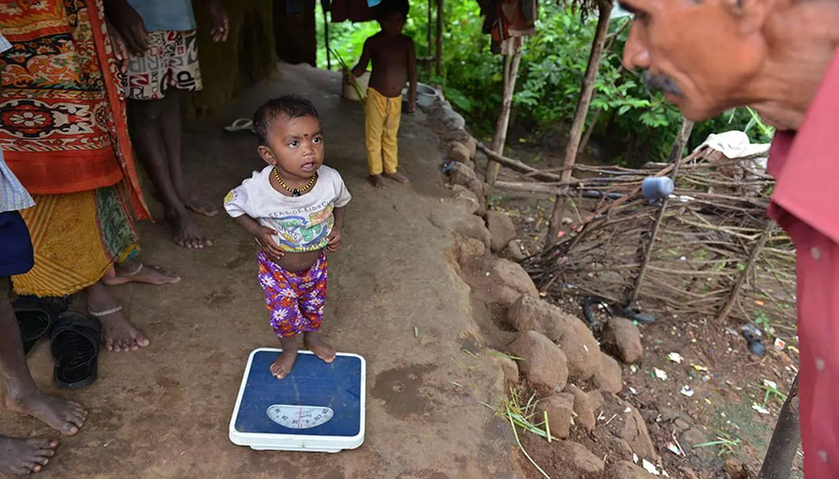 Malnourished children being weighed in a village in Palghar district of Maharashtra in September 2016. The incidence of underweight children decreased from 45.8 per cent to 29.4 per cent between 1992-93 and 2019-21. 