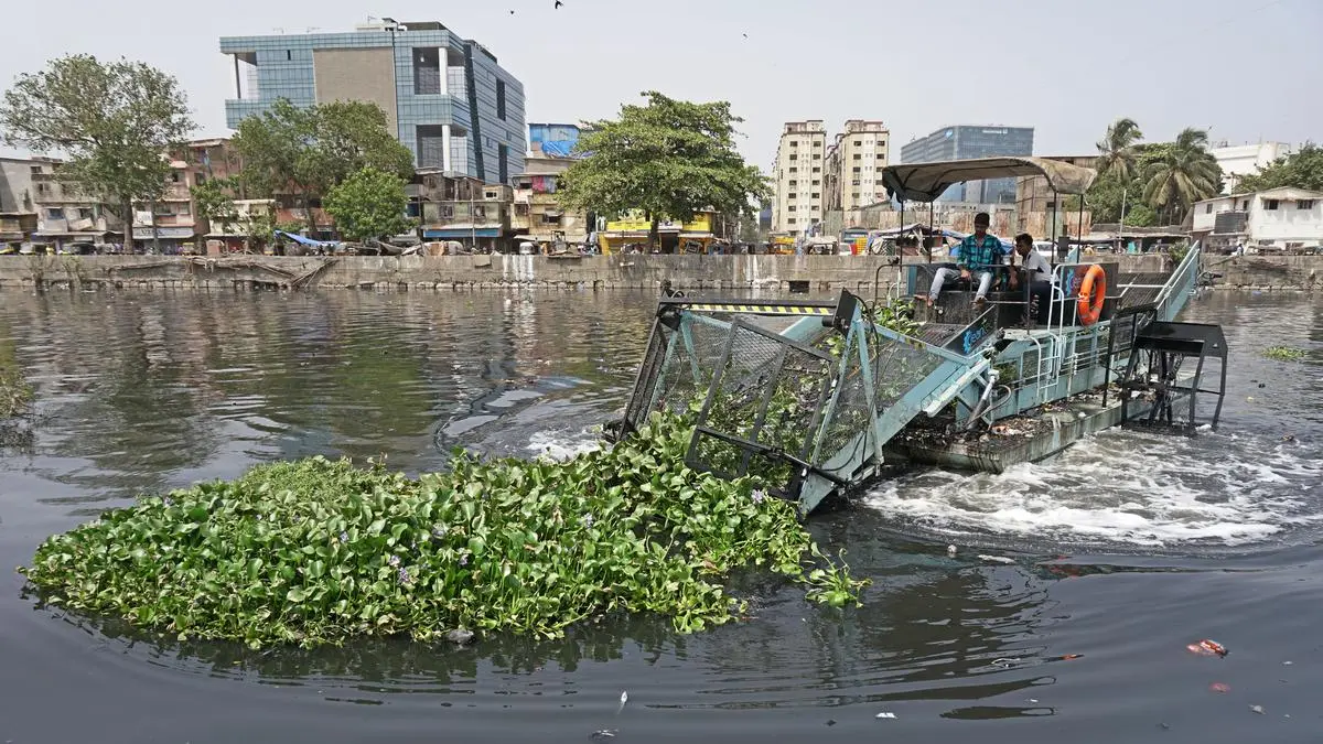 Why Mumbai’s Mithi River suffers from sewage, scam, and Shiv Sena ...