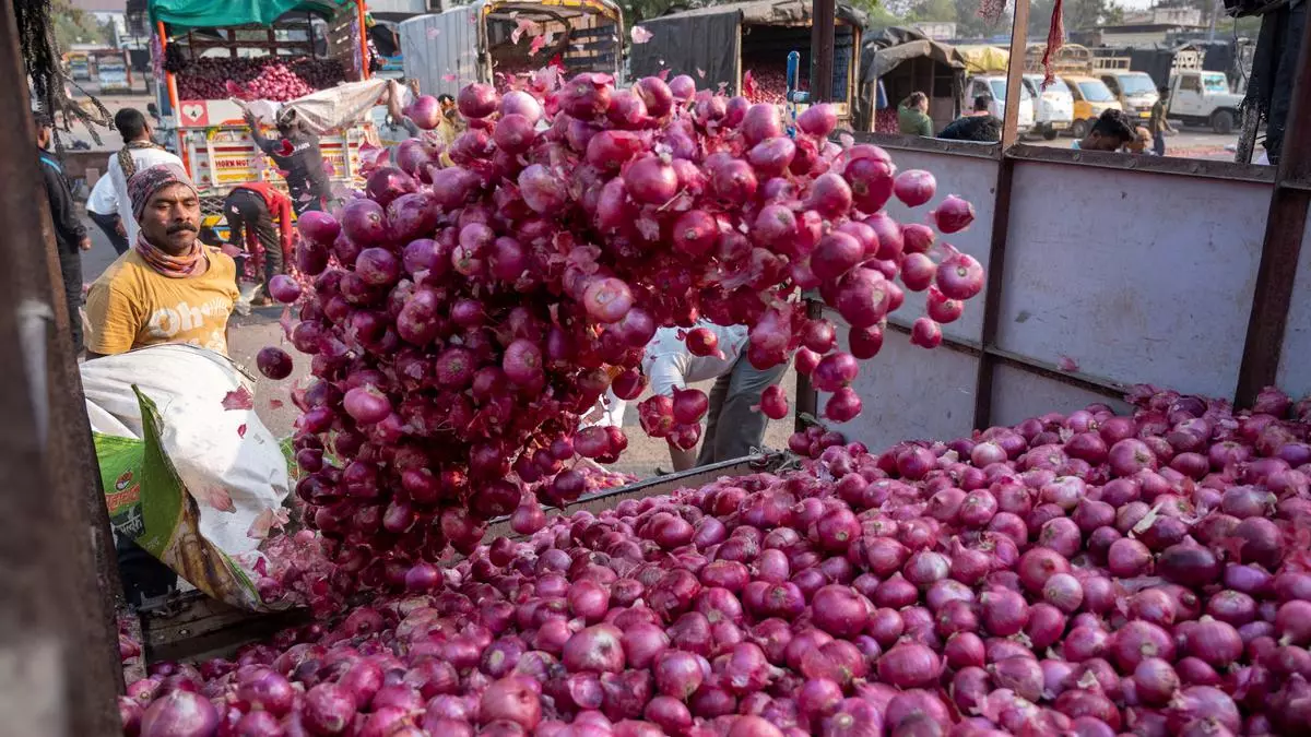 Export duty hike on onion sparks fury among Maharashtra farmers - Frontline