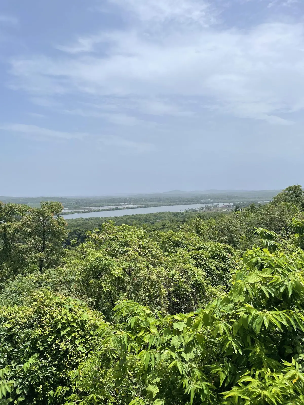 Carambolim Lake, a protected wetland, seen from Our Lady of the Mount Chapel. Construction on the hill, on which Enigma Properties has bought a plot, can affect water levels in the lake by obstructing the flow of water downhill. Carambolim Lake, a protected wetland, seen from Our Lady of the Mount Chapel. Construction on the hill, on which Enigma Properties has bought a plot, can affect water levels in the lake by obstructing the flow of water downhill.