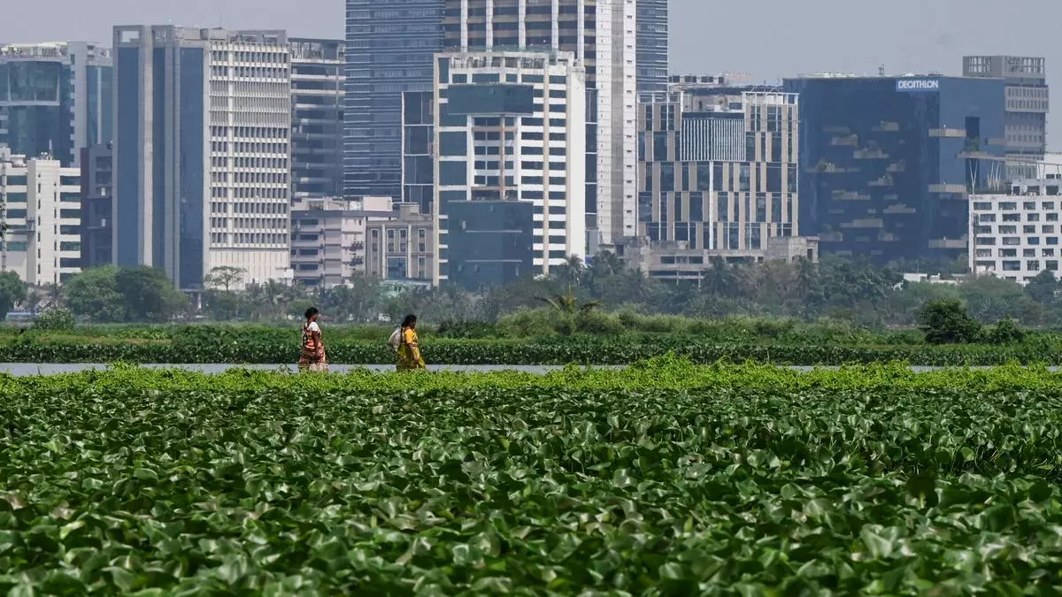 CLIMATE CHANGE | Kolkata’s wetlands in danger