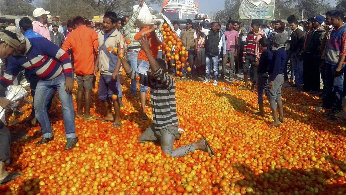 The Tumbler Test: How India’s Farm Crisis Emptied Rural Homes of Milk and Hope