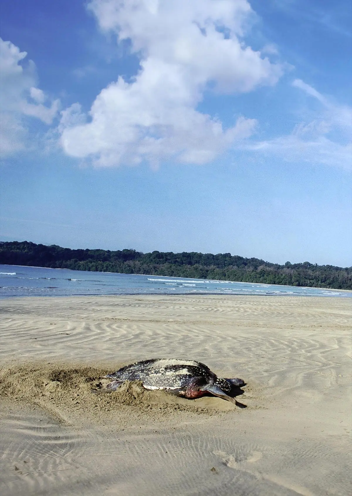Pankaj Sekhsaria's Island On Edge Book Review in Tamil By Siddharthan Sundaram