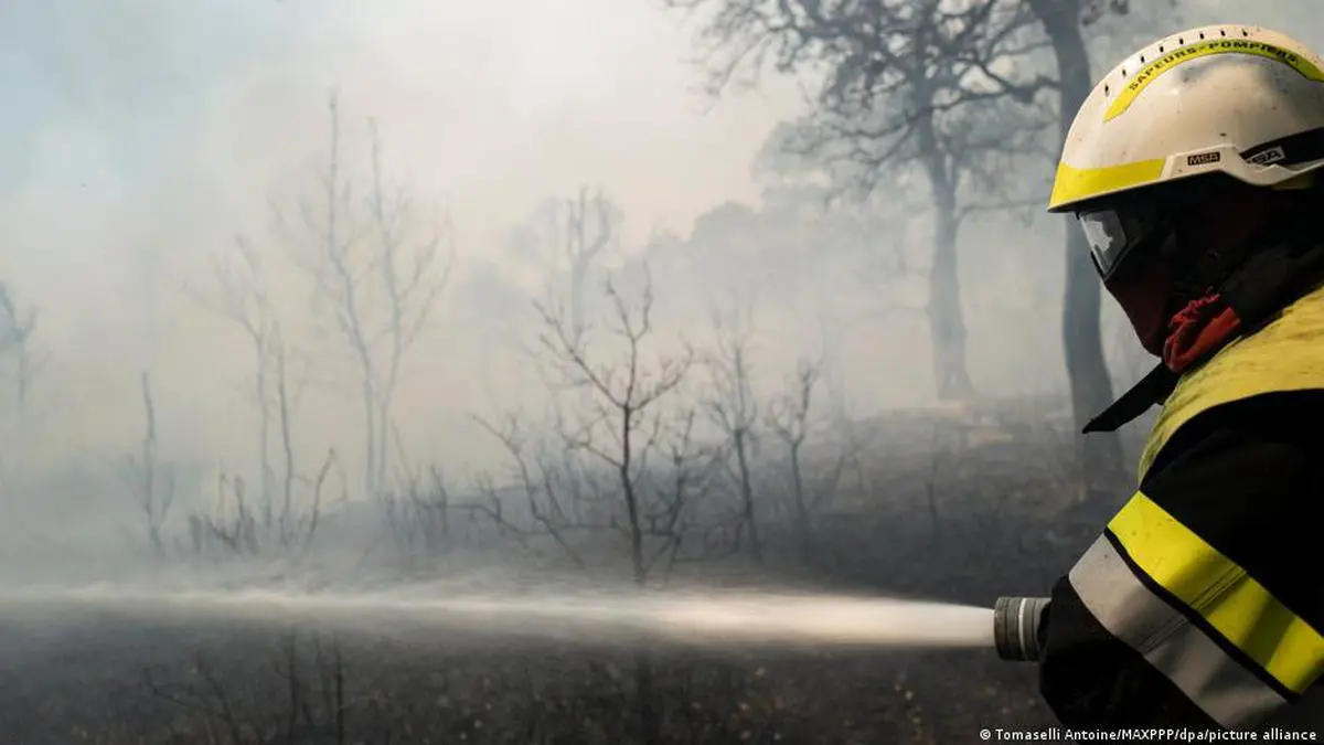 Thousands in France forced to flee wildfires - Frontline