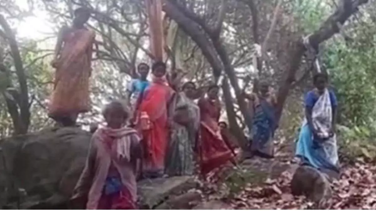 Tribal women stage novel protest against clearing of plantations for a mining project