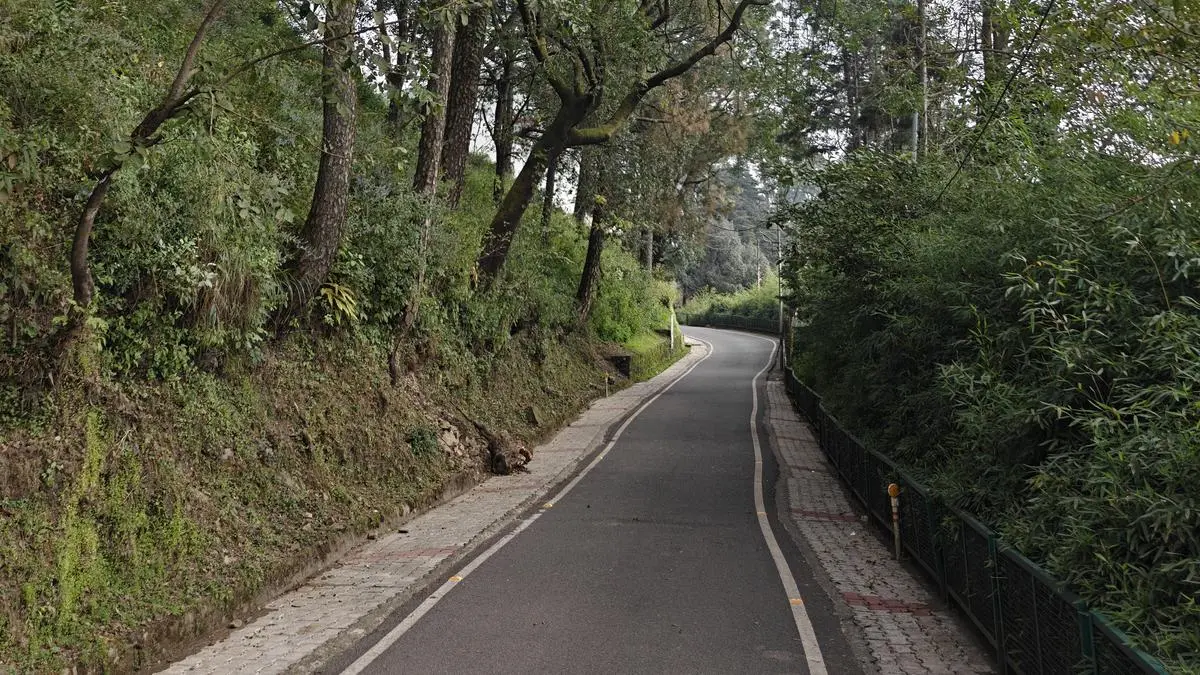 Of flat tyres and bumpy holidays