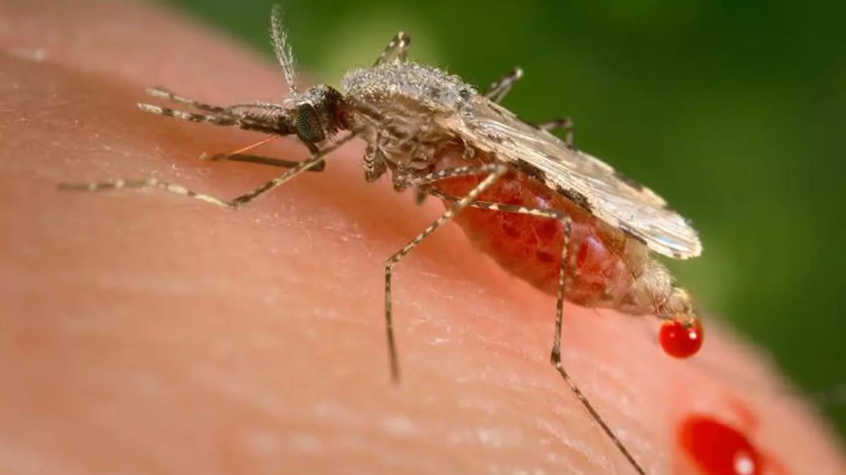 Is India falling short of its deadline of eradicating malaria by 2030?